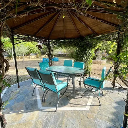 Mimosa Garden 1