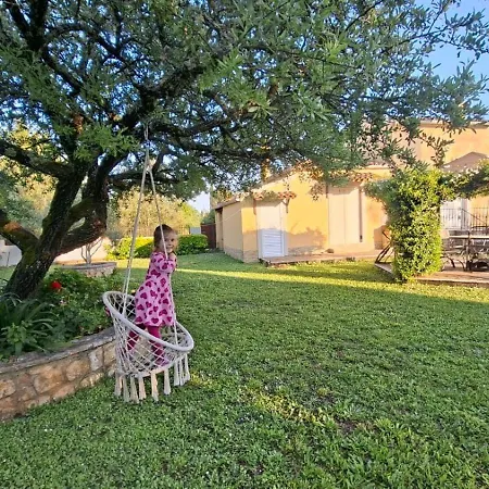 Mimosa Garden 1