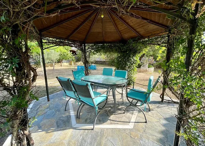 Mimosa Garden 1